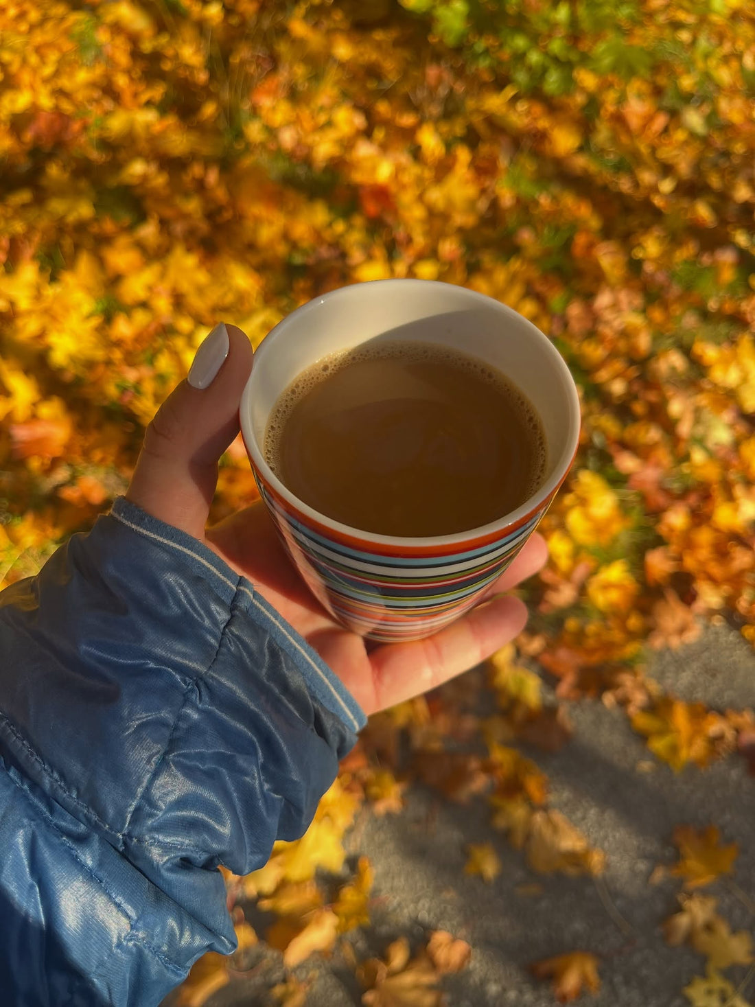 A hand holding a striped coffee cup above golden fallen leaves in Stockholm, from Daša’s October photo archive.