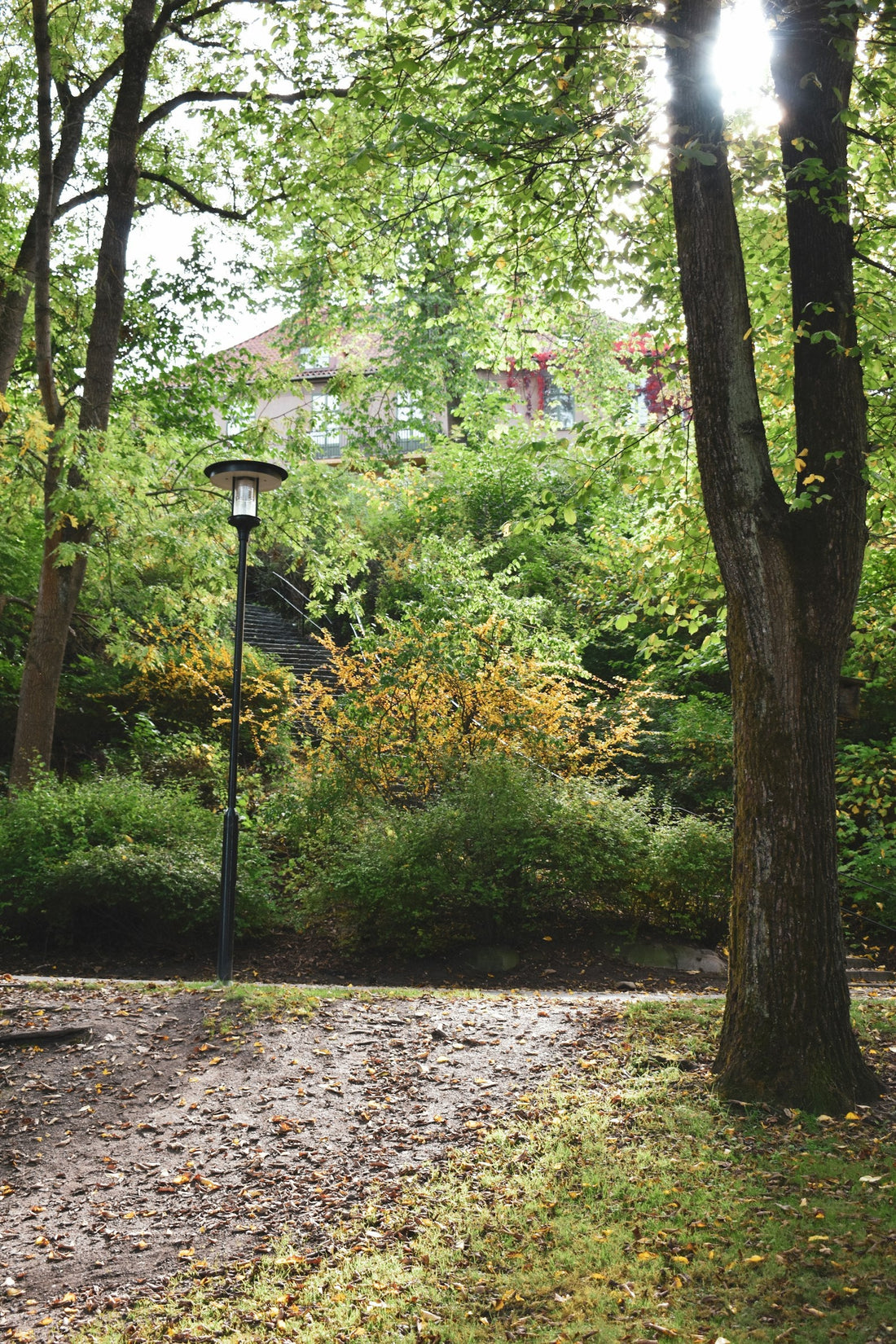 An autumn path in Stockholm with fallen leaves, green and yellow foliage, a lamp post and a building beyond the trees. Photo by Anastasiya D.