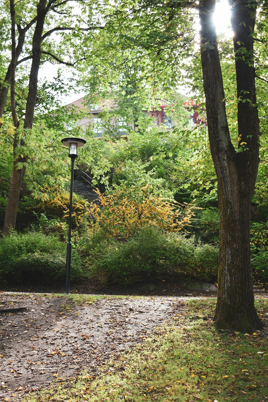 An autumn path in Stockholm with fallen leaves, green and yellow foliage, a lamp post and a building beyond the trees. Photo by Anastasiya D.